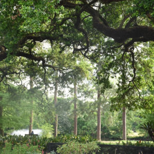 Meet your Posher, Gabriella